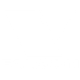 falcon-logo-light